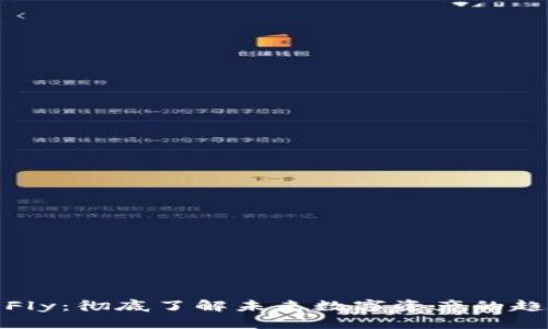 加密货币Fly：彻底了解未来数字资产的趋势与挑战