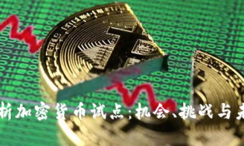 全面解析加密货币试点：机会、挑战与未来展望