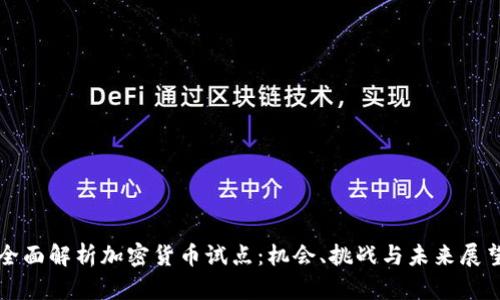 全面解析加密货币试点：机会、挑战与未来展望