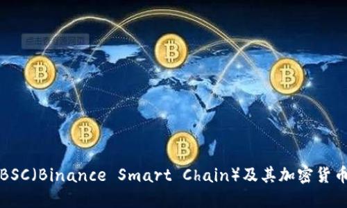 深入探讨BSC（Binance Smart Chain）及其加密货币生态系统