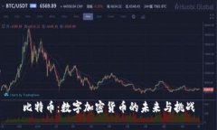 比特币：数字加密货币的未来与挑战
