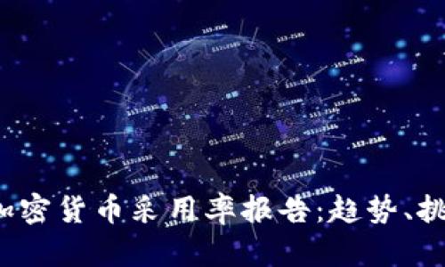 2023年全球加密货币采用率报告：趋势、挑战与未来展望