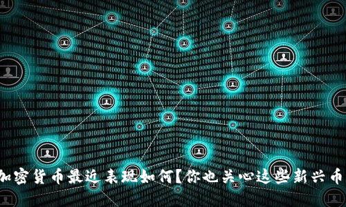 小型加密货币最近表现如何？你也关心这些新兴币种吗？