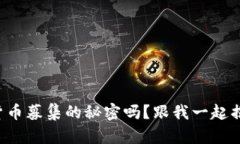 想了解加密货币募集的秘