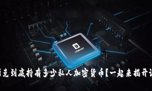 马斯克到底持有多少私人加密货币？一起来揭开谜底！