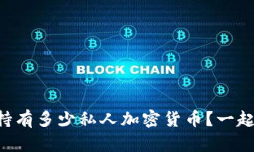 马斯克到底持有多少私人加密货币？一起来揭开谜底！