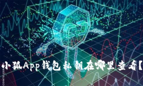 小狐App钱包私钥在哪里查看？