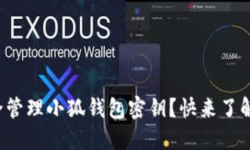 如何安全管理小狐钱包密钥？快来了解一下吧！
