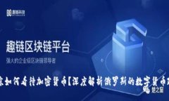 普京如何看待加密货币？