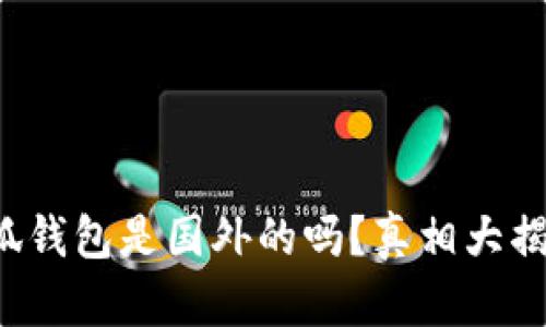 小狐钱包是国外的吗？真相大揭秘！