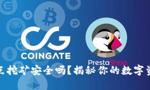 小狐钱包节点挖矿安全吗？揭秘你的数字资产保护之道