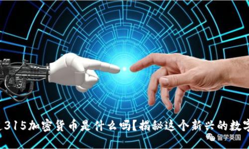 你知道315加密货币是什么吗？揭秘这个新兴的数字资产！