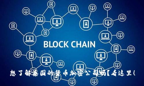 想了解泰国的货币加密公司吗？看这里！