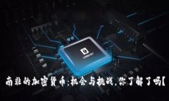 南非的加密货币：机会与