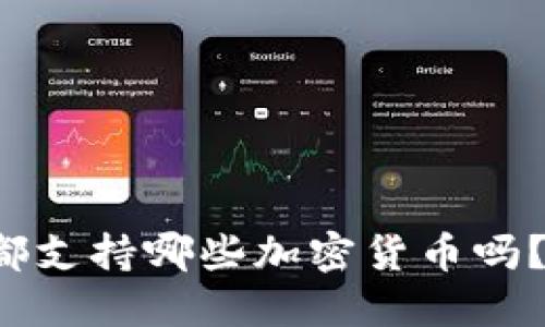 你知道委内瑞拉都支持哪些加密货币吗？一起来探讨一下！