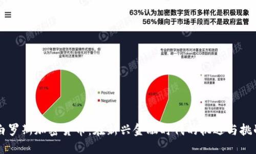白罗斯加密货币：在新兴金融时代的机遇与挑战
