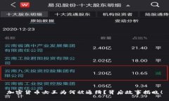 加密货币女王为何被通缉