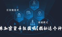 你知道日本加密货币组团