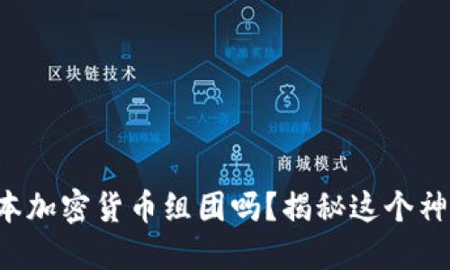 你知道日本加密货币组团吗？揭秘这个神秘的圈子！