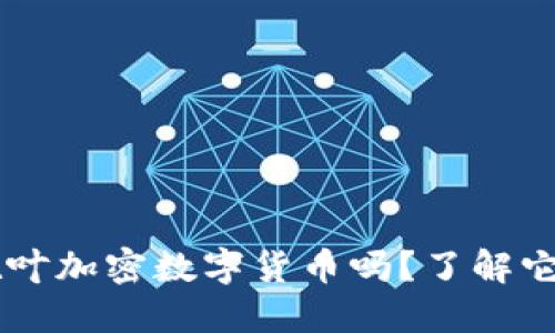 jiaoti你知道枫叶加密数字货币吗？了解它的魅力和潜力！