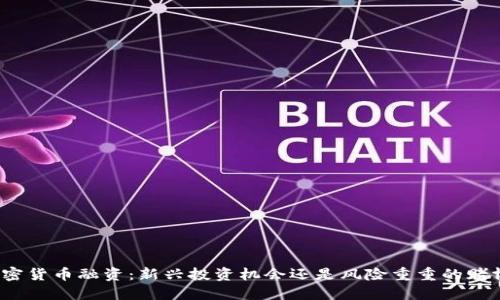 加密货币融资：新兴投资机会还是风险重重的赌博？