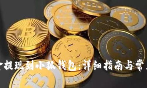 如何将资金提现到小狐钱包：详细指南与常见问题解答