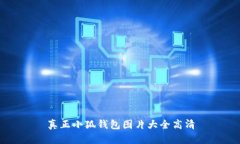 真正小狐钱包图片大全高