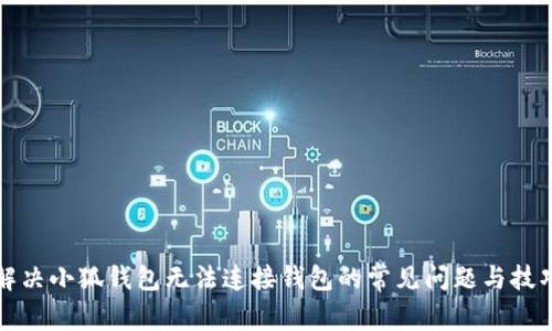 解决小狐钱包无法连接钱包的常见问题与技巧
