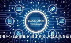 全面了解BCHA加密货币：技