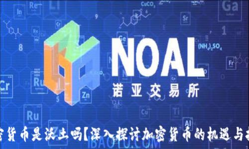  
加密货币是沃土吗？深入探讨加密货币的机遇与挑战