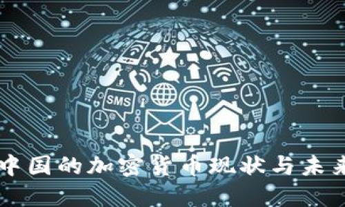 中国的加密货币现状与未来